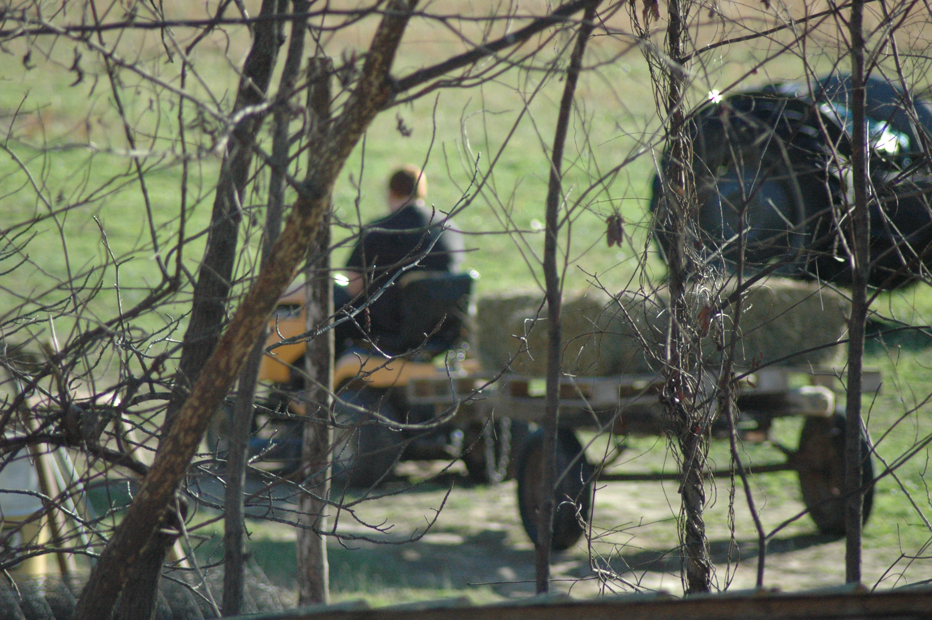 Blaze at Triple 5 Farms