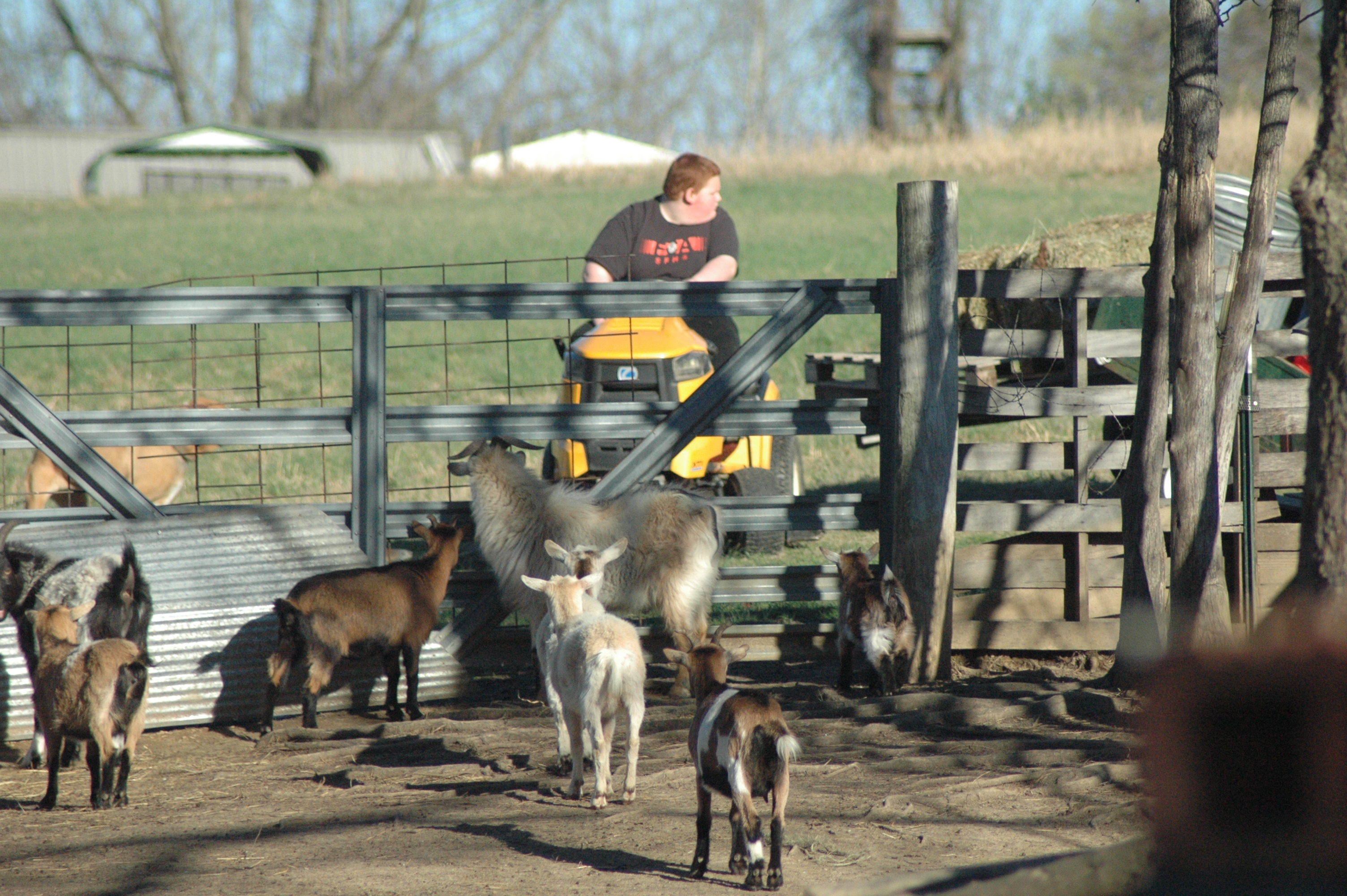 Blaze at Triple 5 Farms