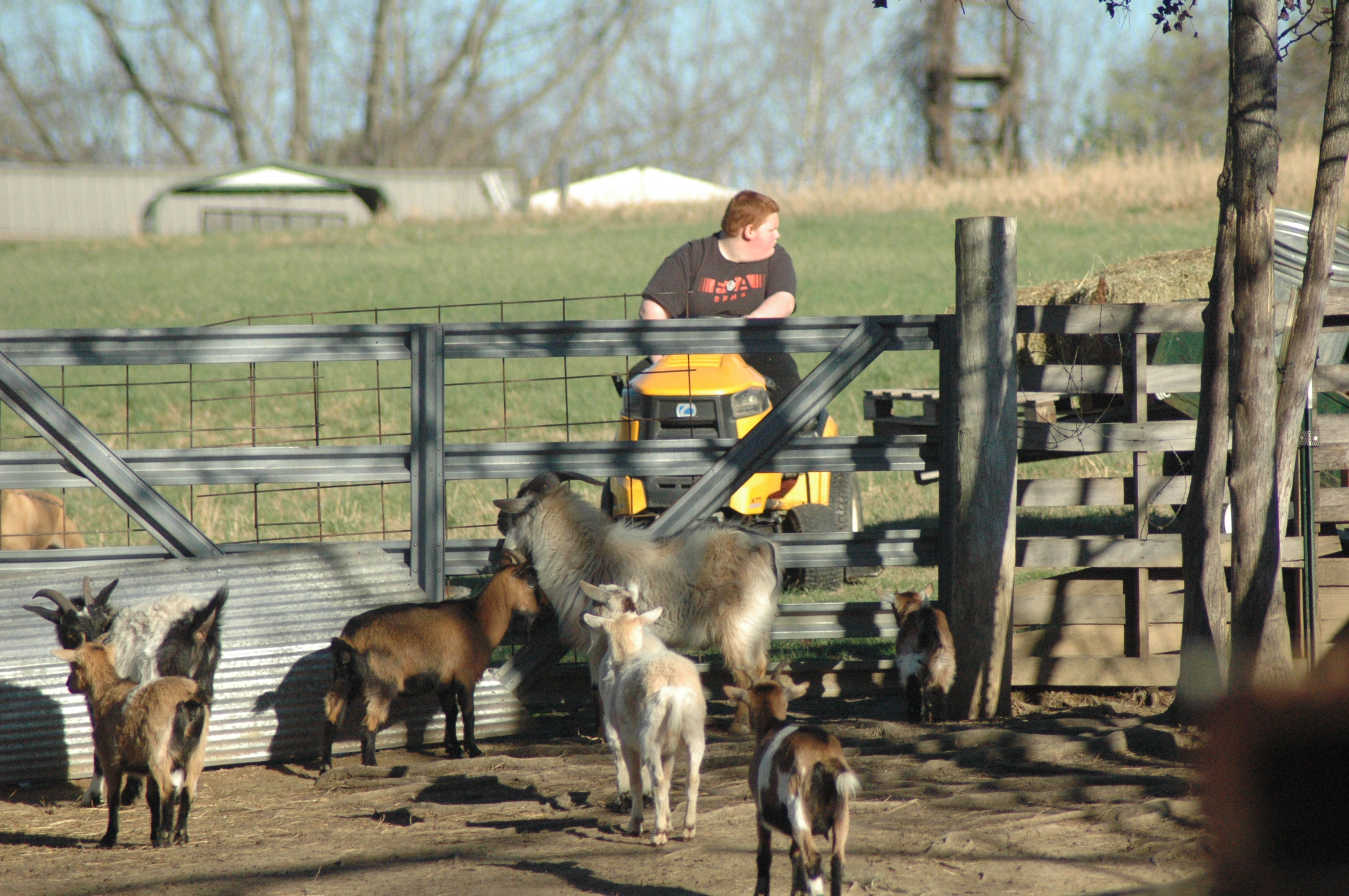 Blaze at Triple 5 Farms