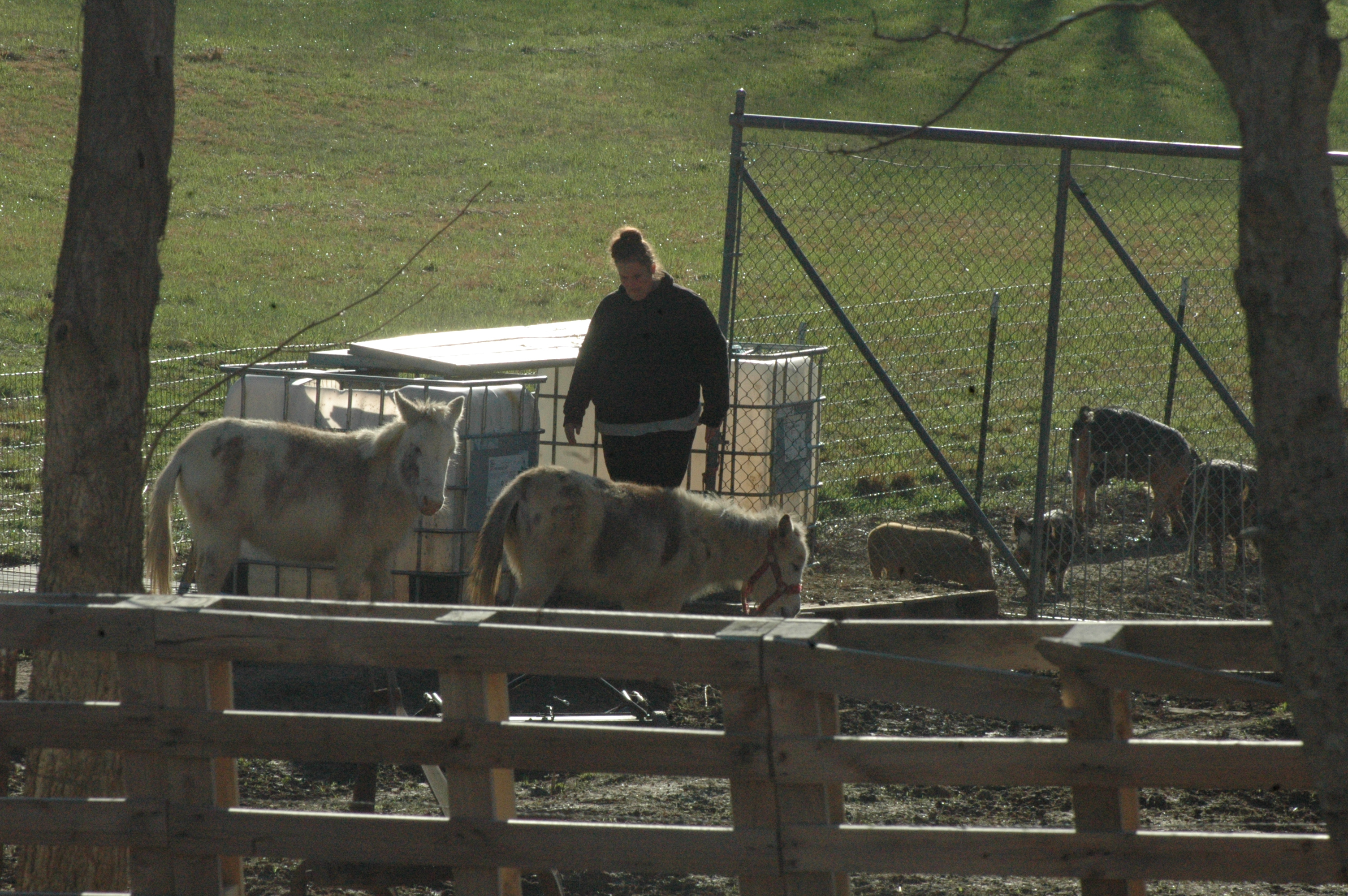 Emily at Triple 5 Farms