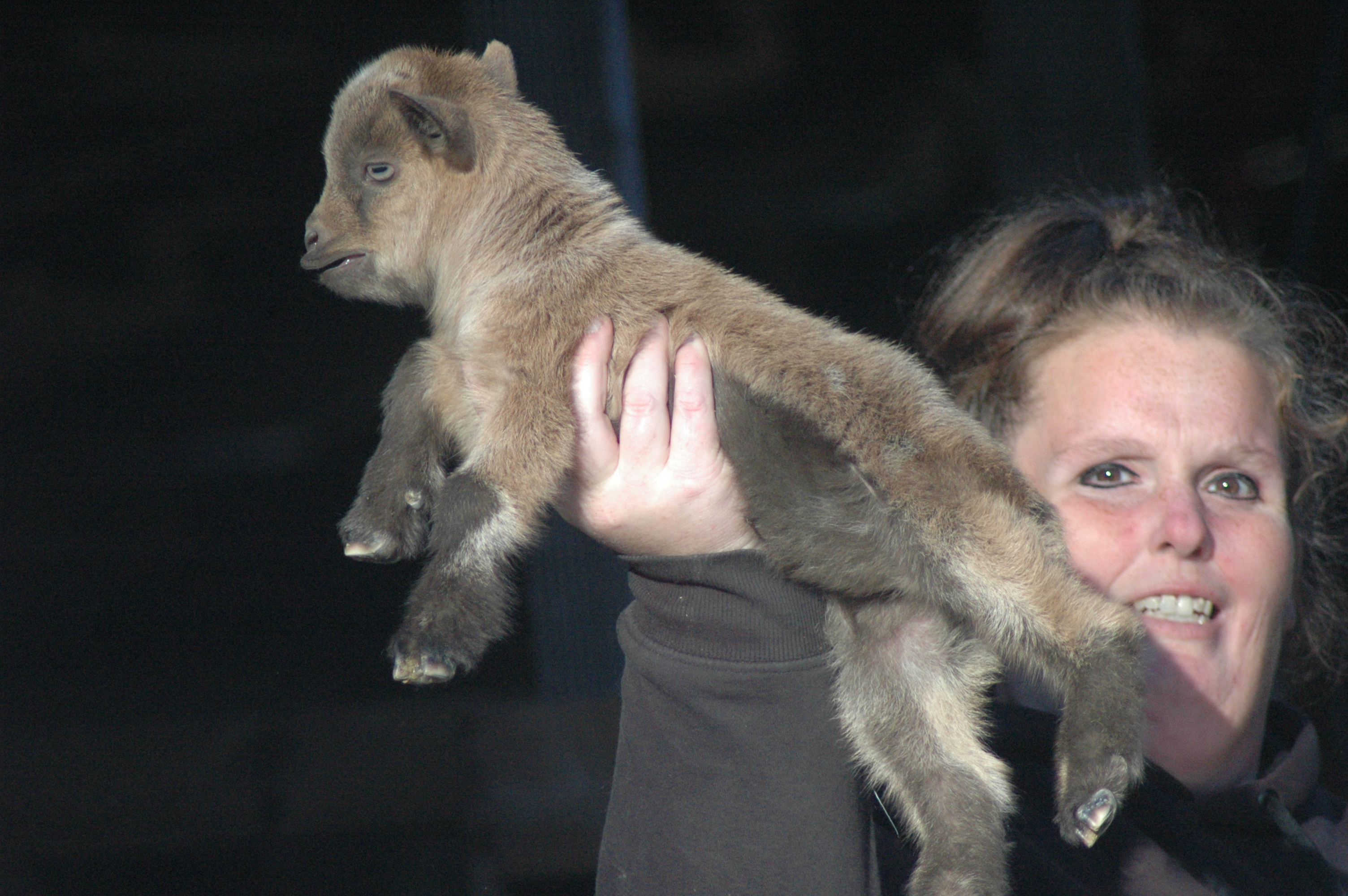 Daisey Baby 1 F photo