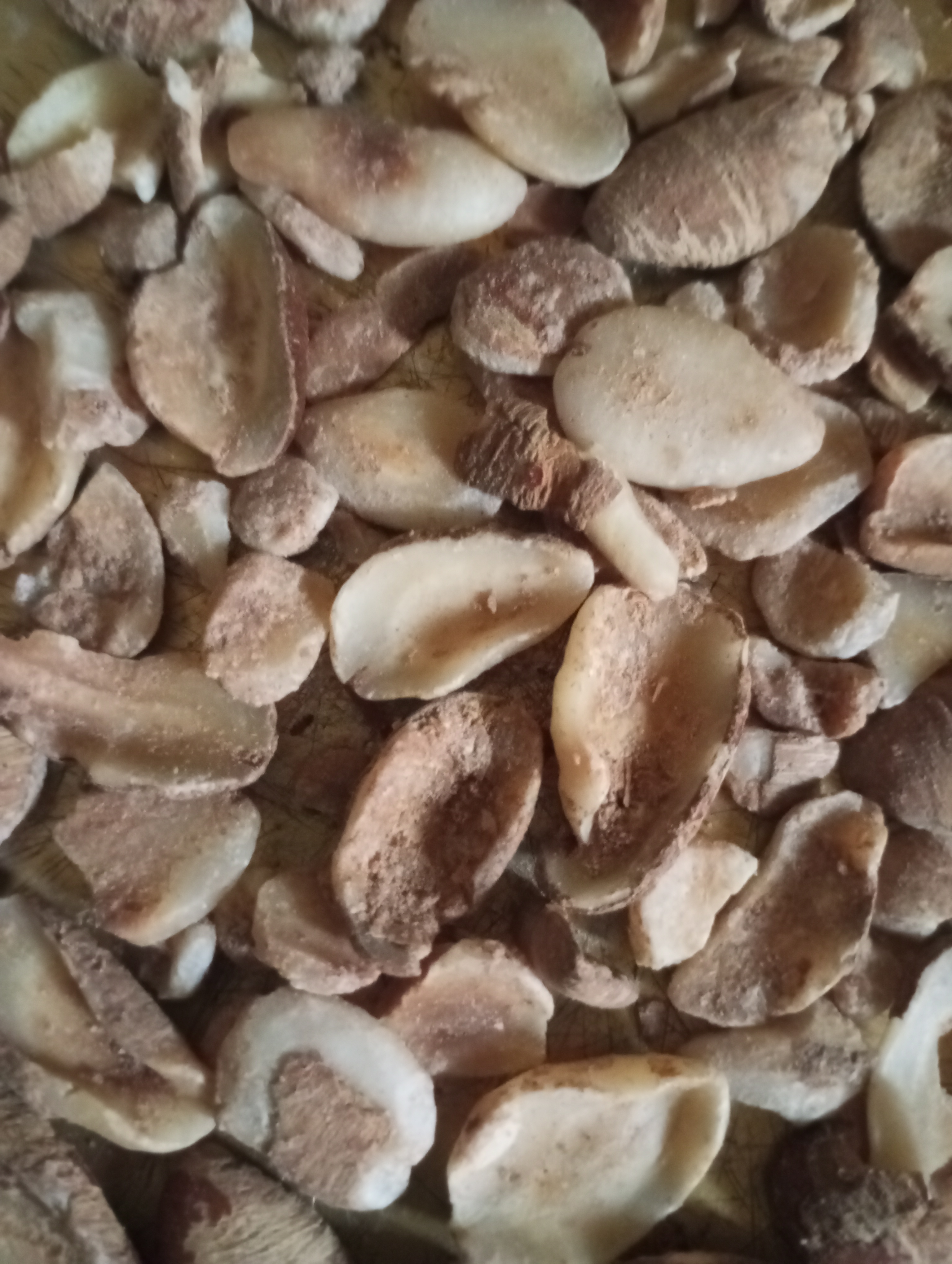 African Mango plant identification view