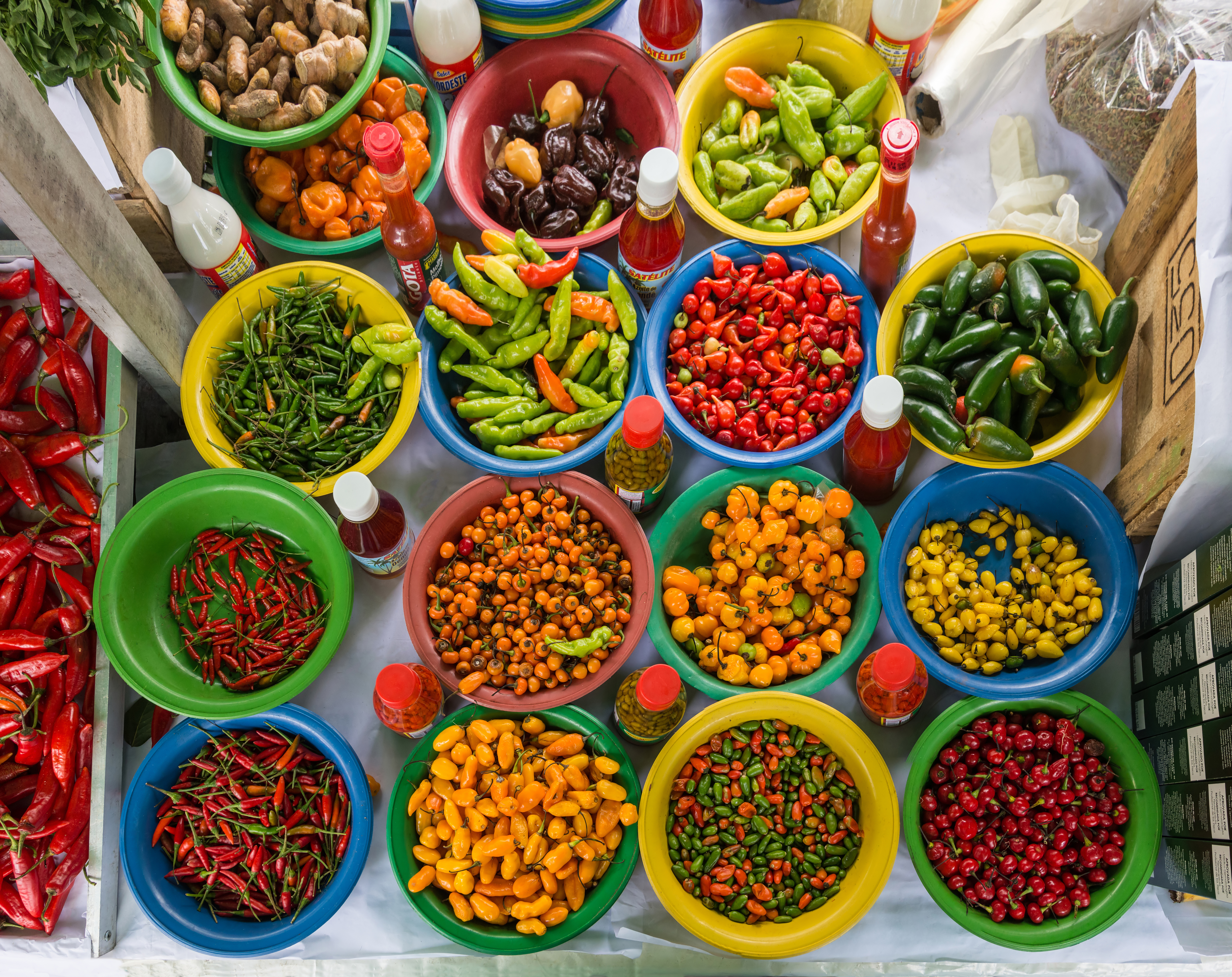 Aji Lemon Drop Pepper stem identification view