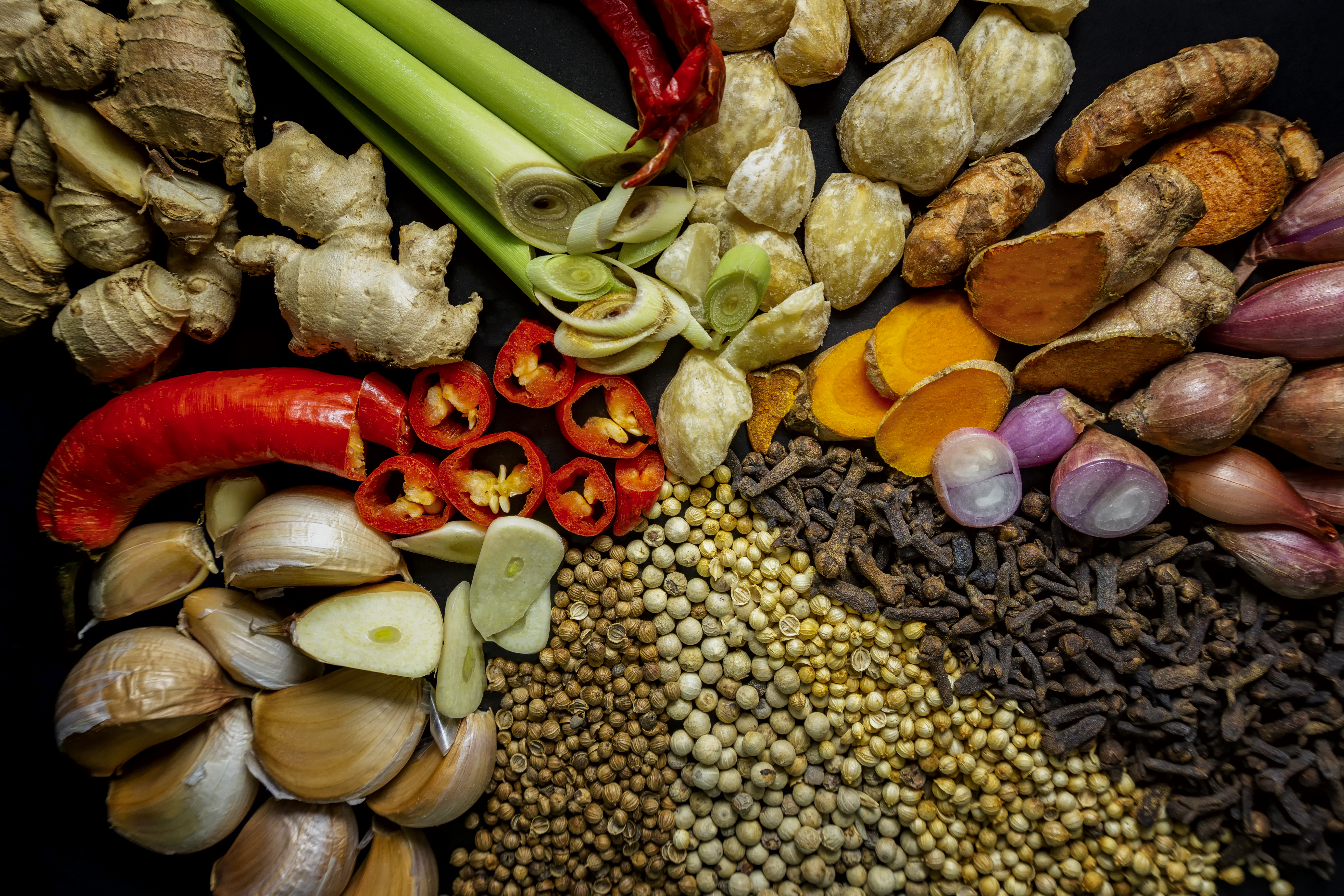 Aleurites moluccanus plant identification view