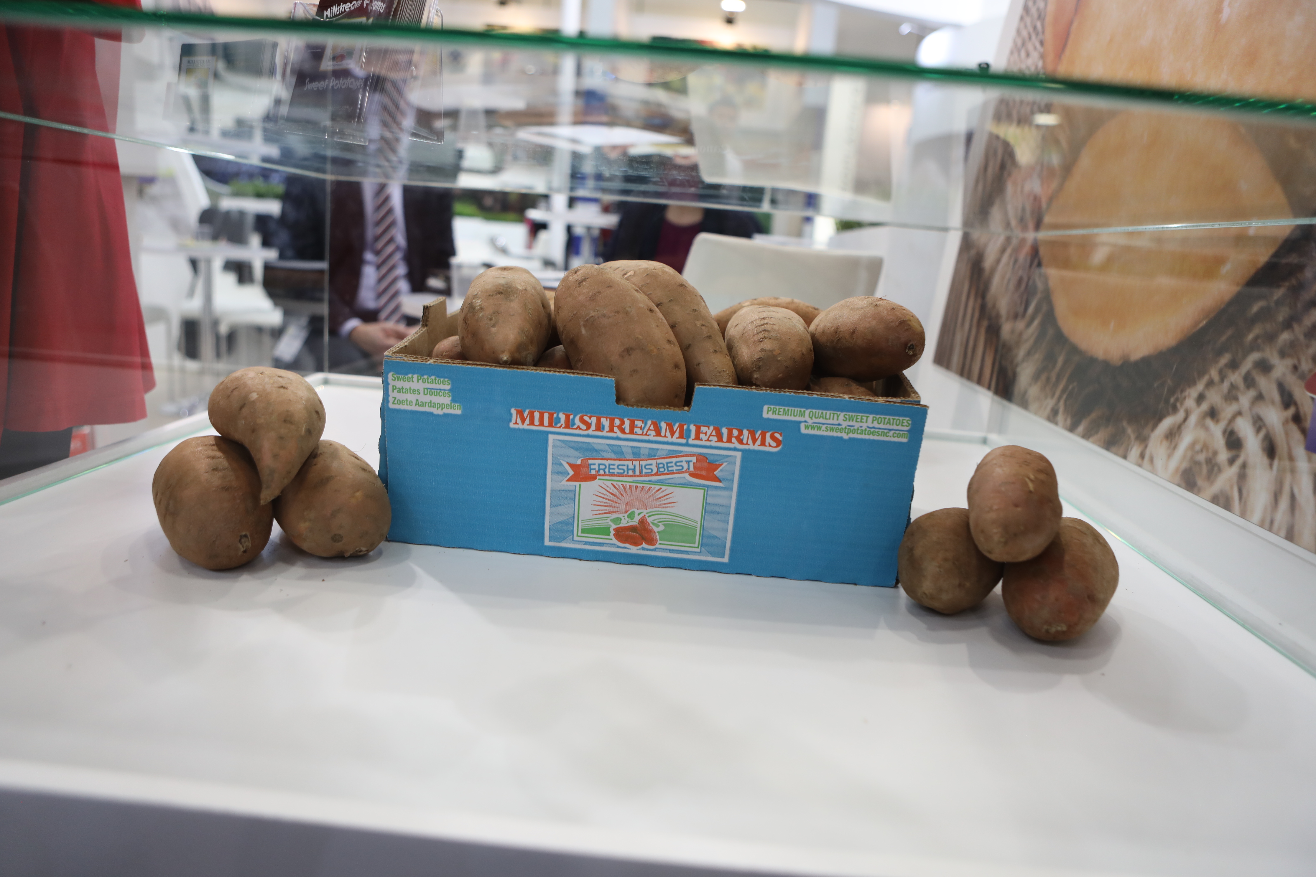 Georgia Jet Sweet Potato fruit identification view