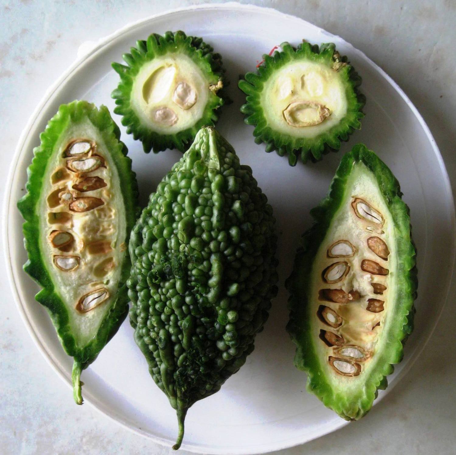 Bitter melon plant identification view