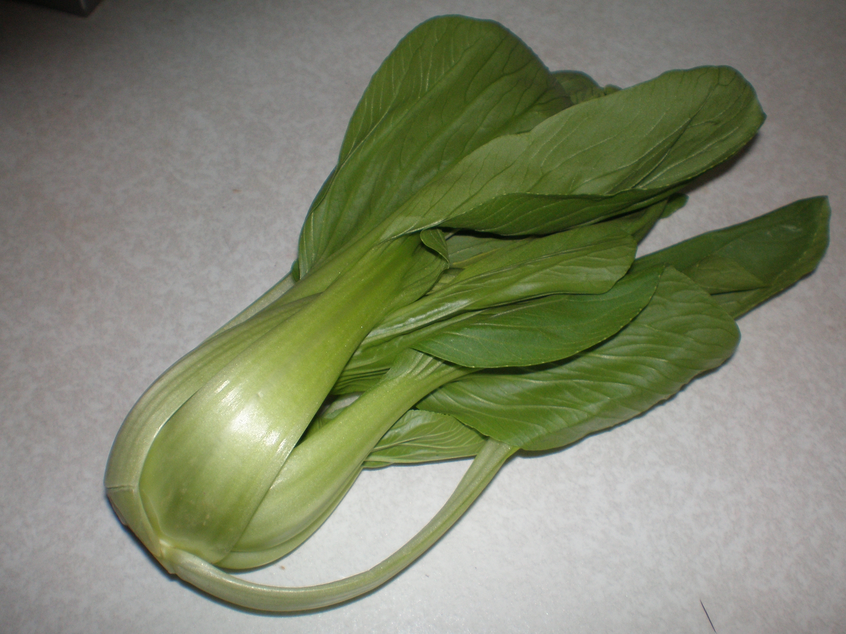 Bok Choy leaf identification view