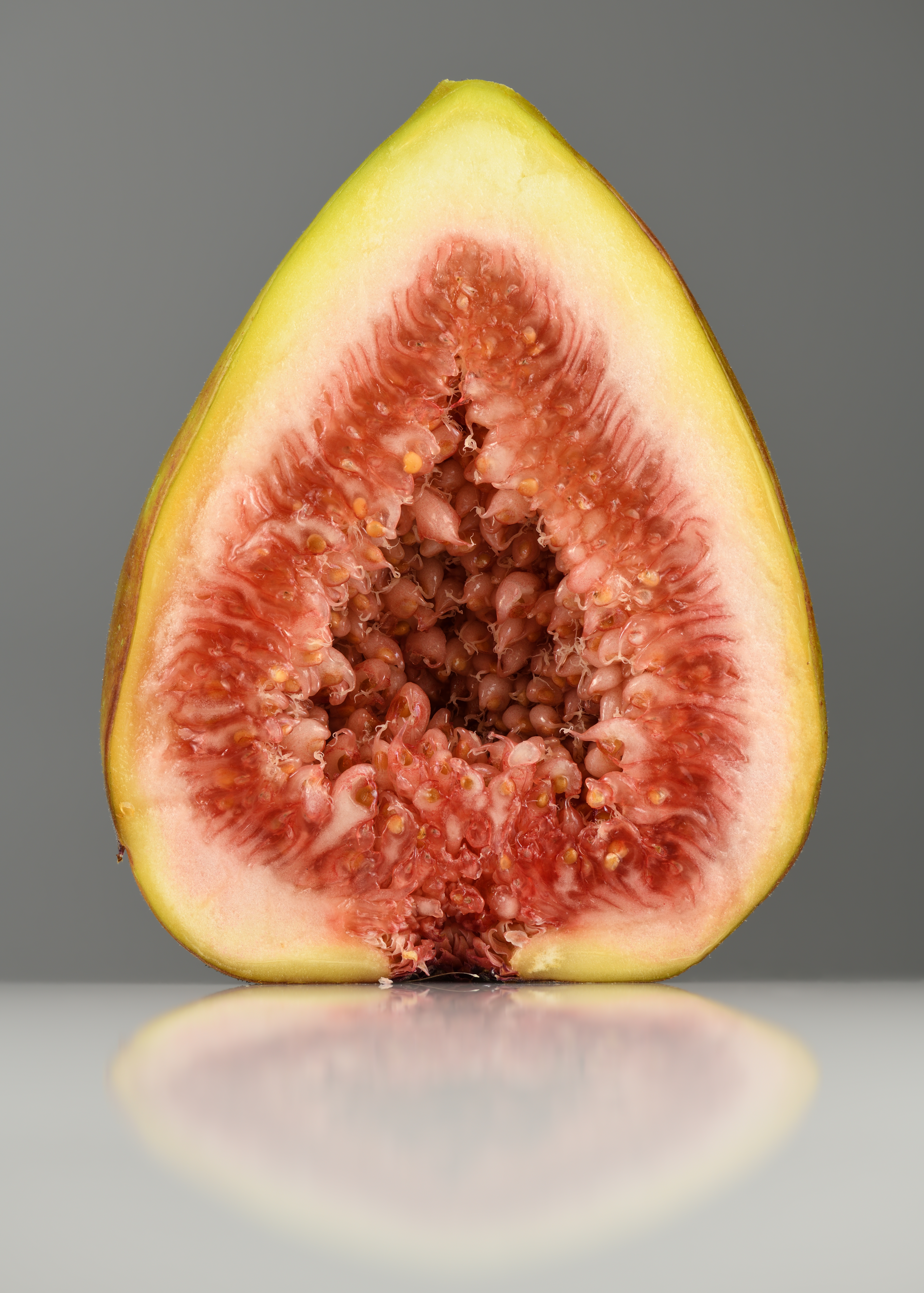 Celeste Fig fruit identification view