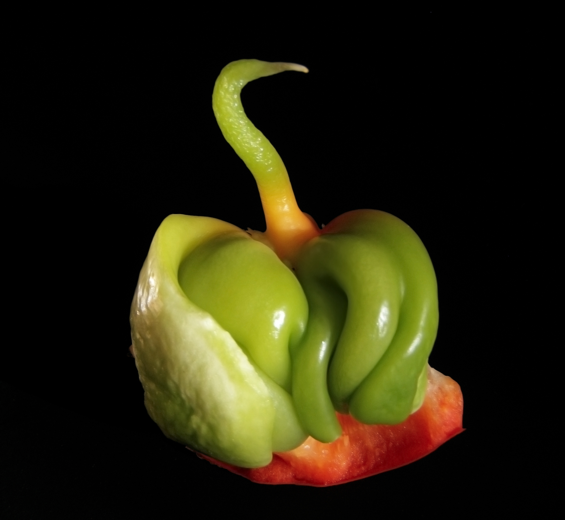 Poblano Pepper fruit identification view