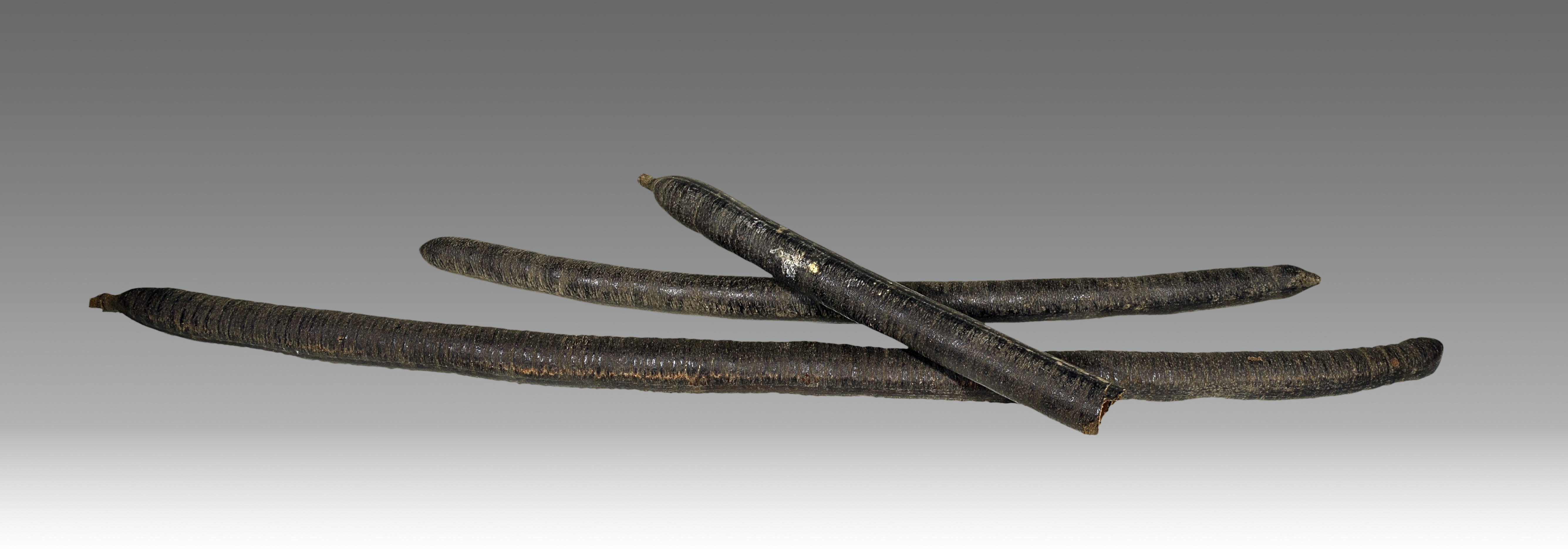 Cassia Essential Oil fruit identification view