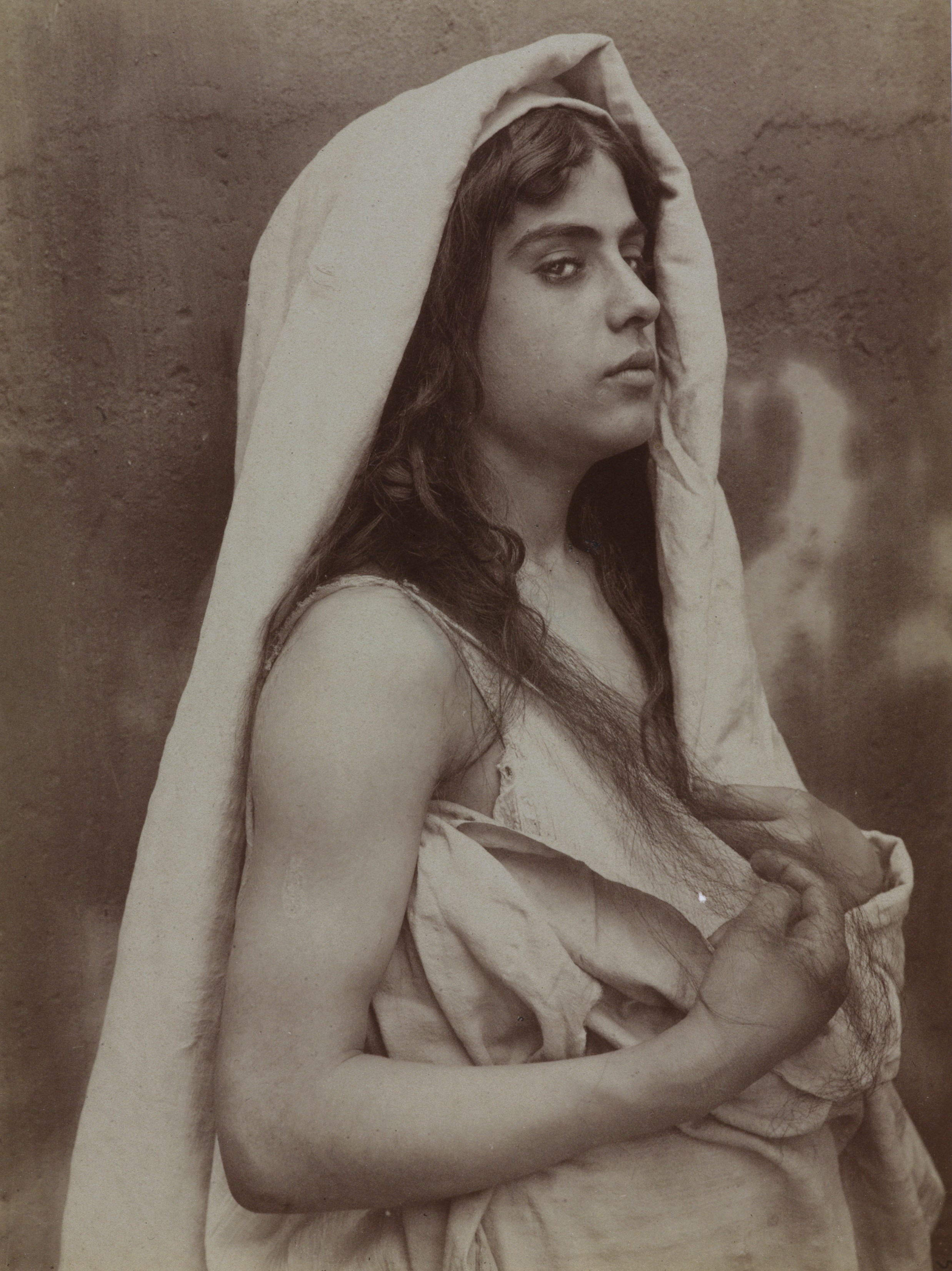 Circaea lutetiana leaf identification view