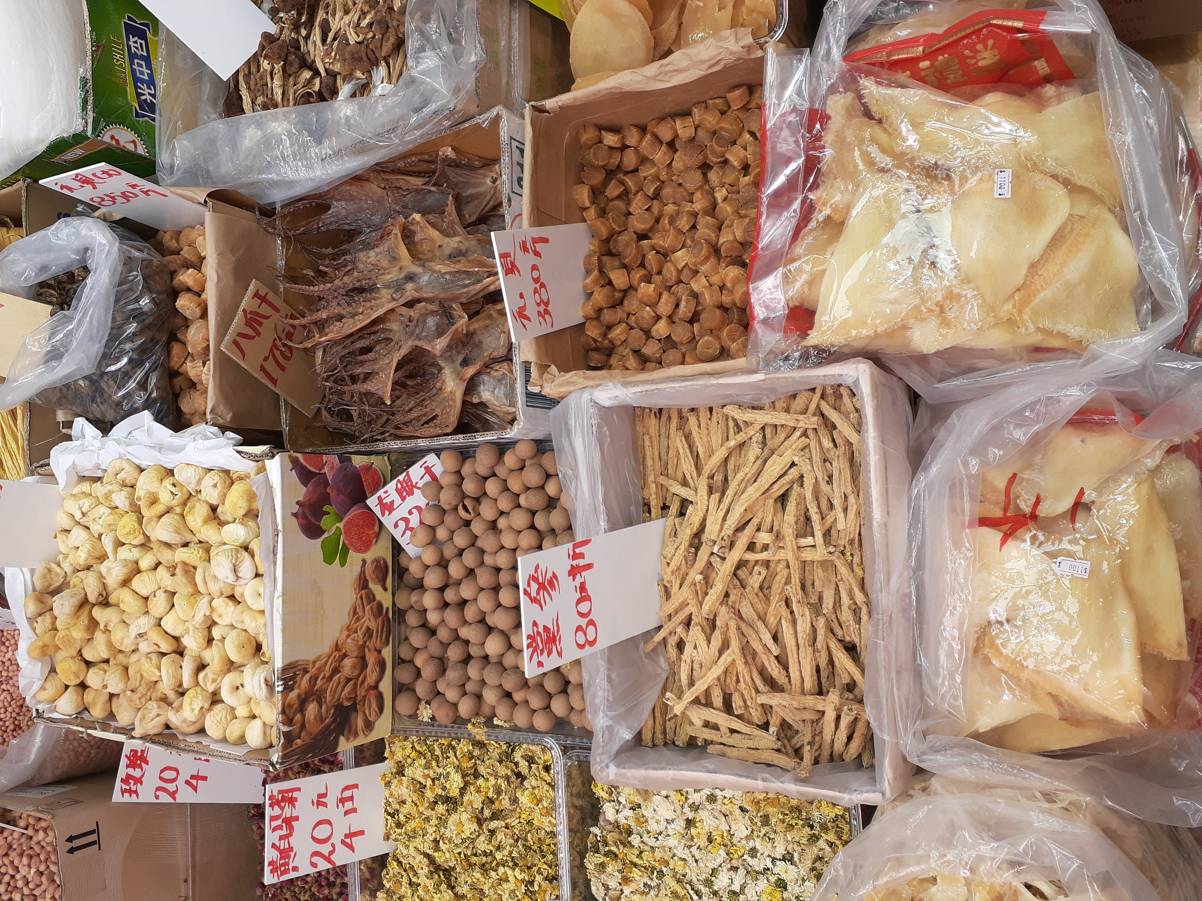 Codonopsis fruit identification view