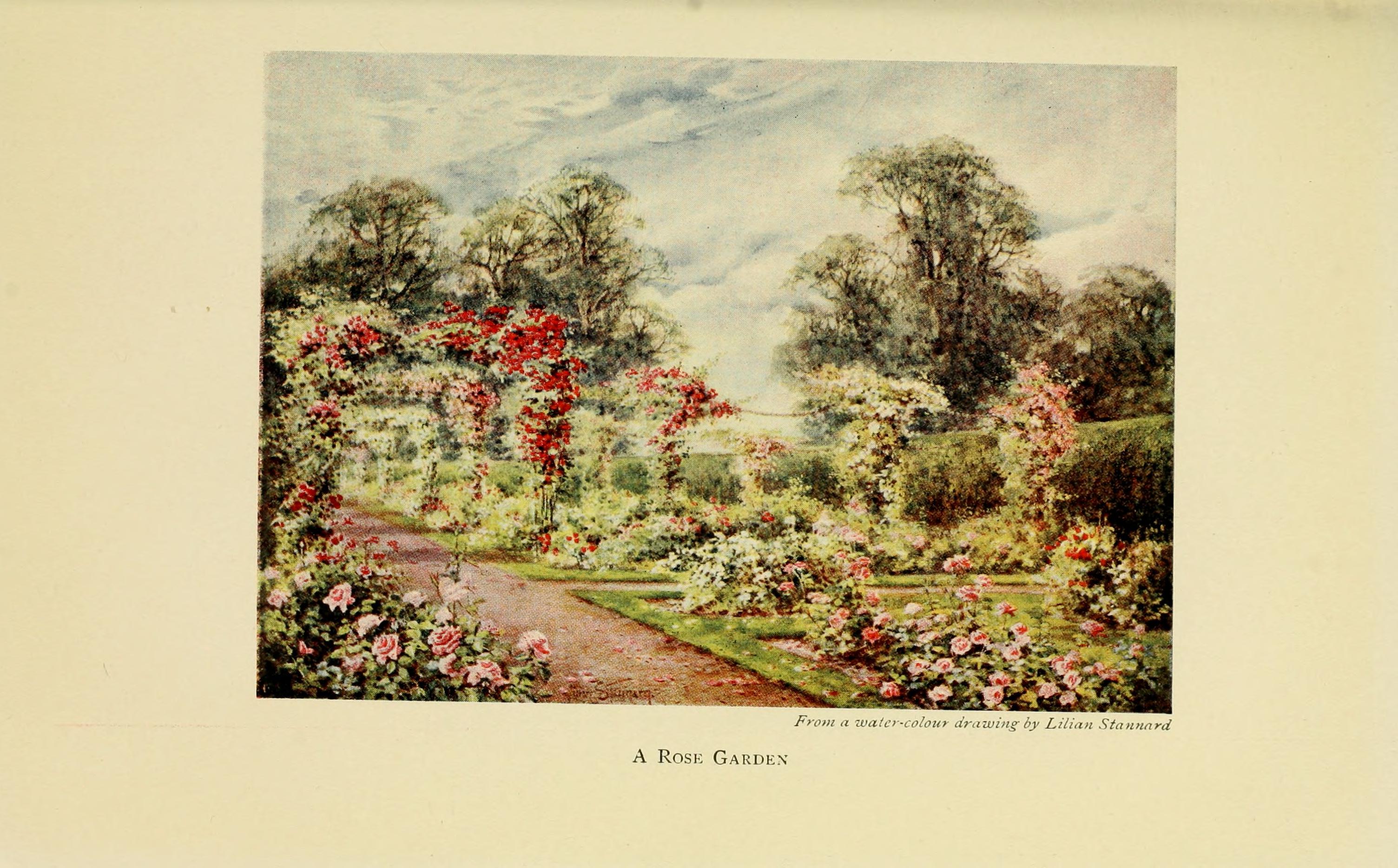 Common hepatica stem identification view