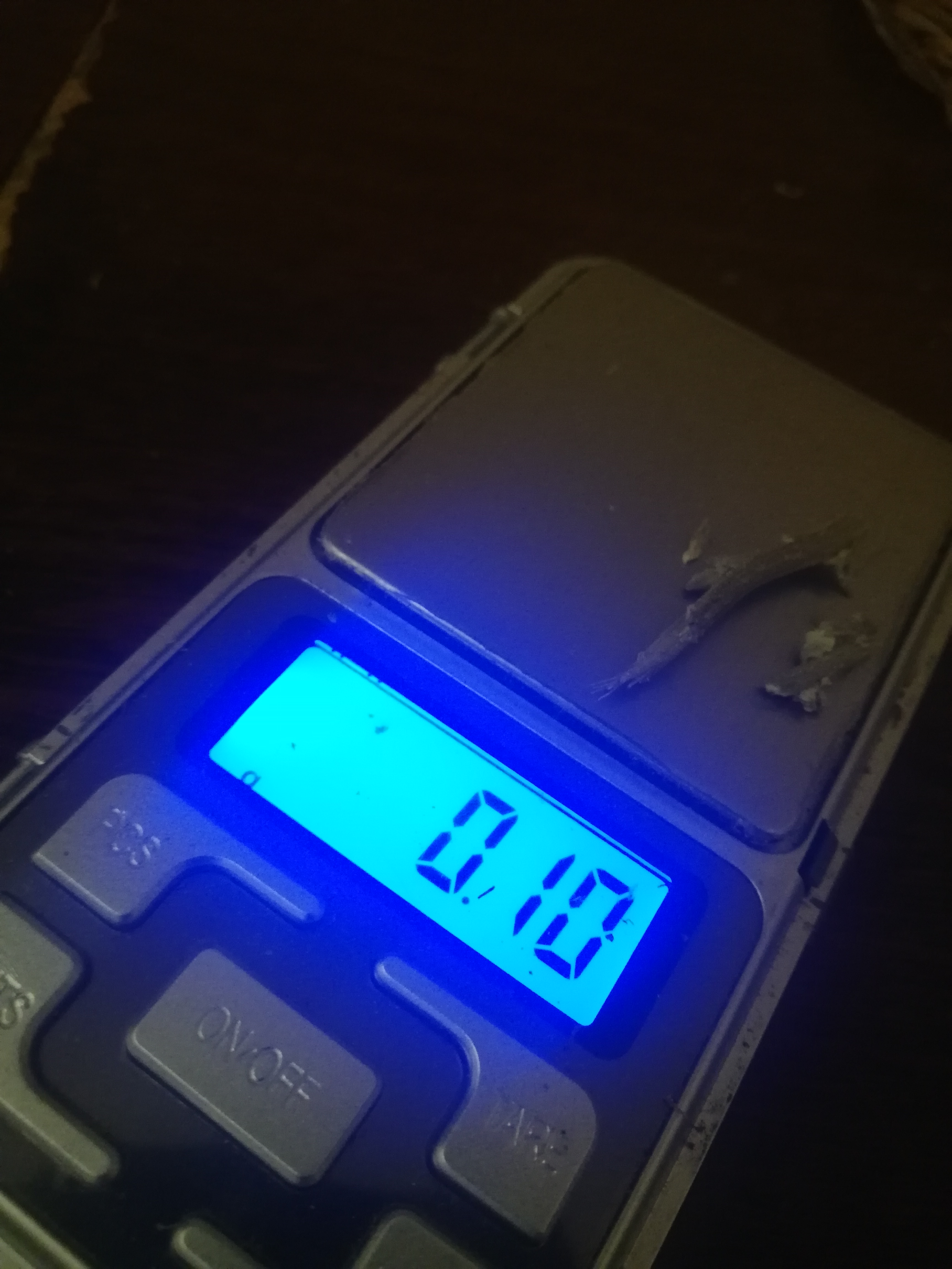 Hemp, Cannabis, Marijuana, Indian hemp, Ganja stem identification view