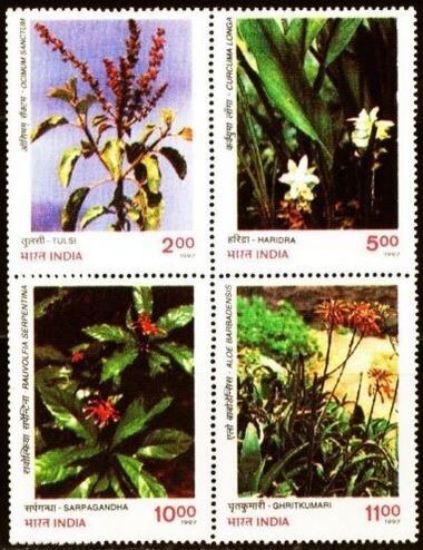 Medicinal plants flower identification view
