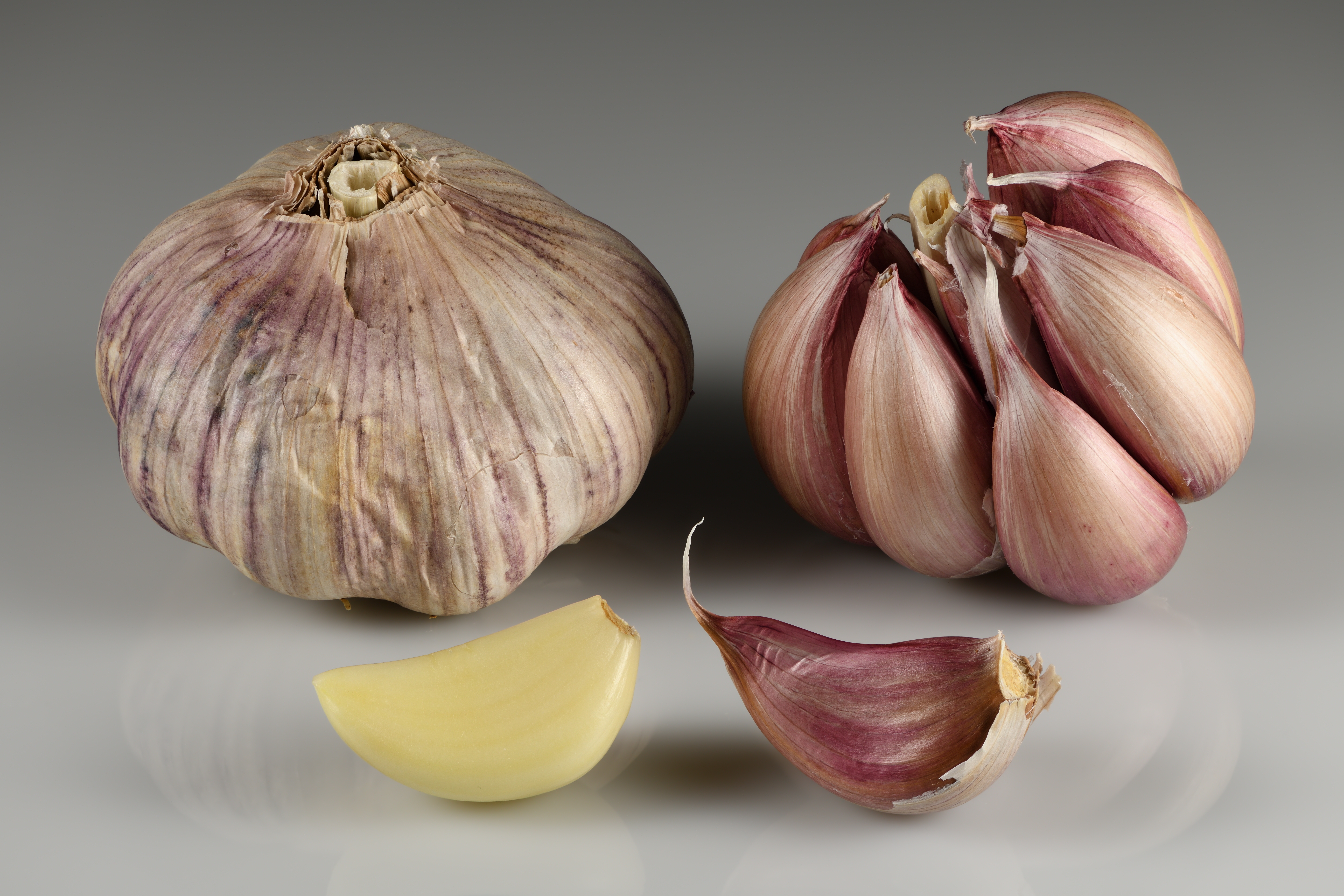 Chesnok Red Garlic plant identification view