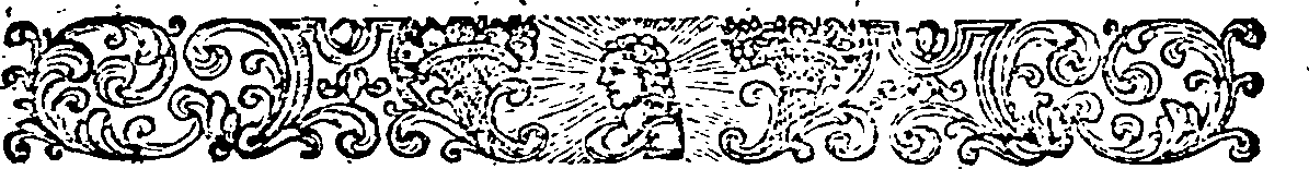 old field balsam fruit identification view