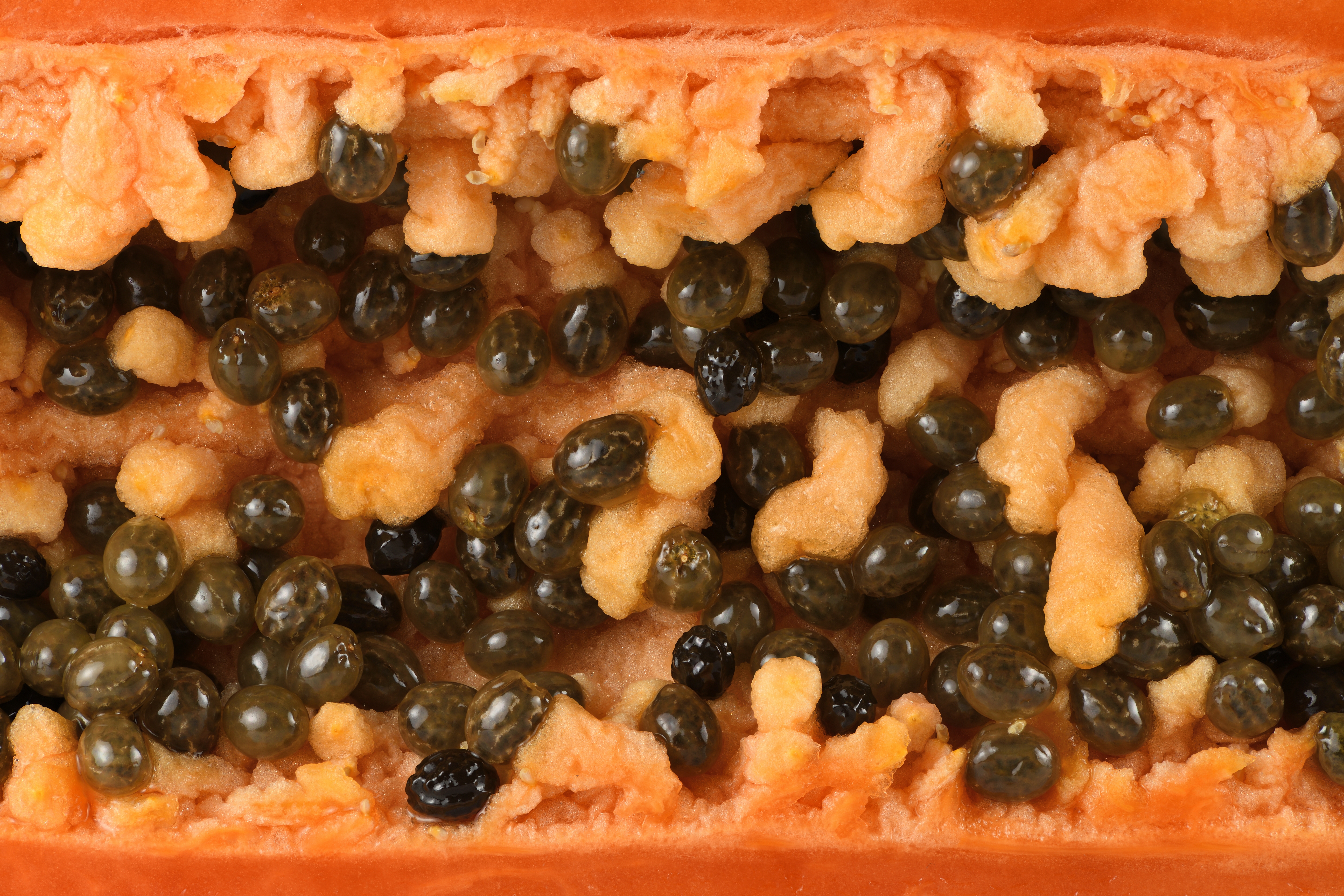 Papaya fruit identification view