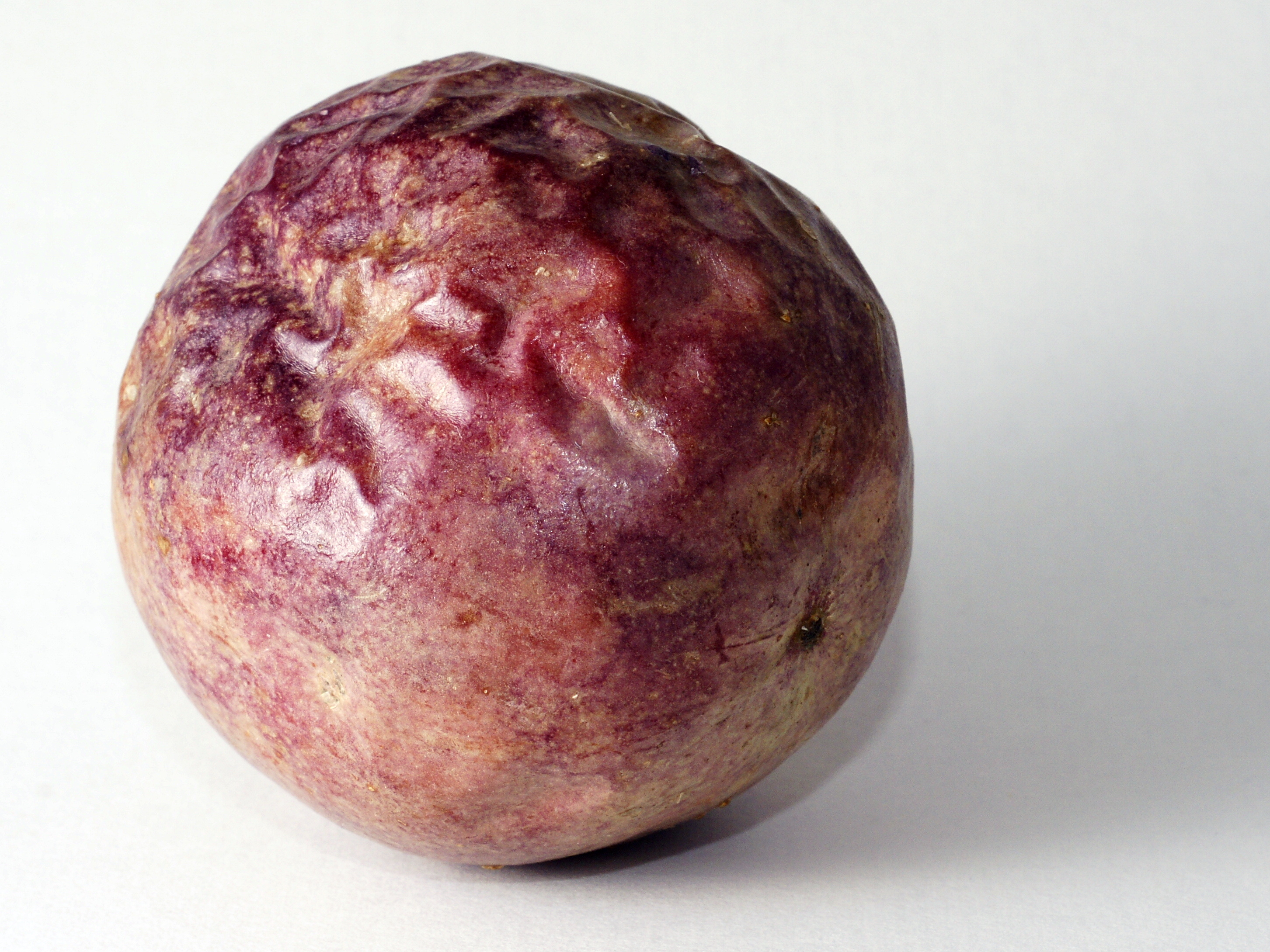 Passion flower fruit identification view