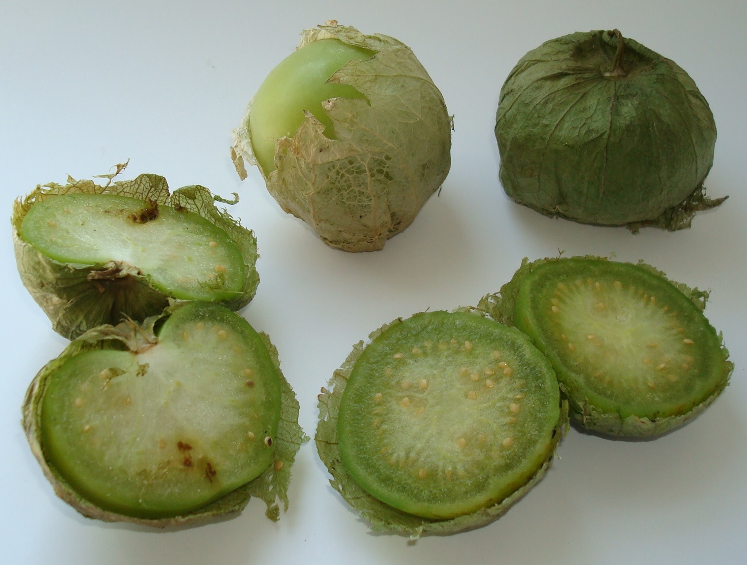 Green Tomatillo fruit identification view