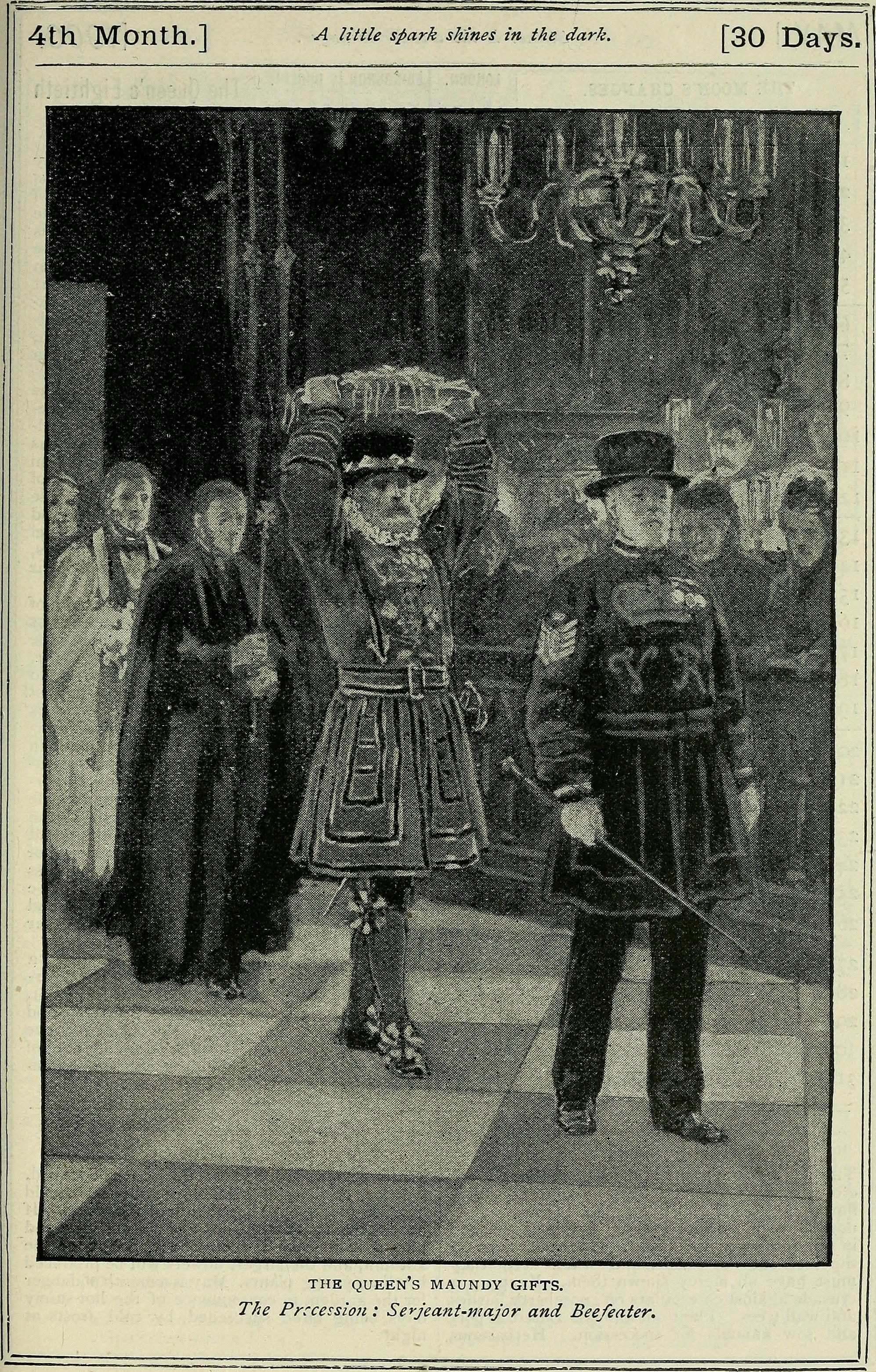 Red Russian Kale fruit identification view