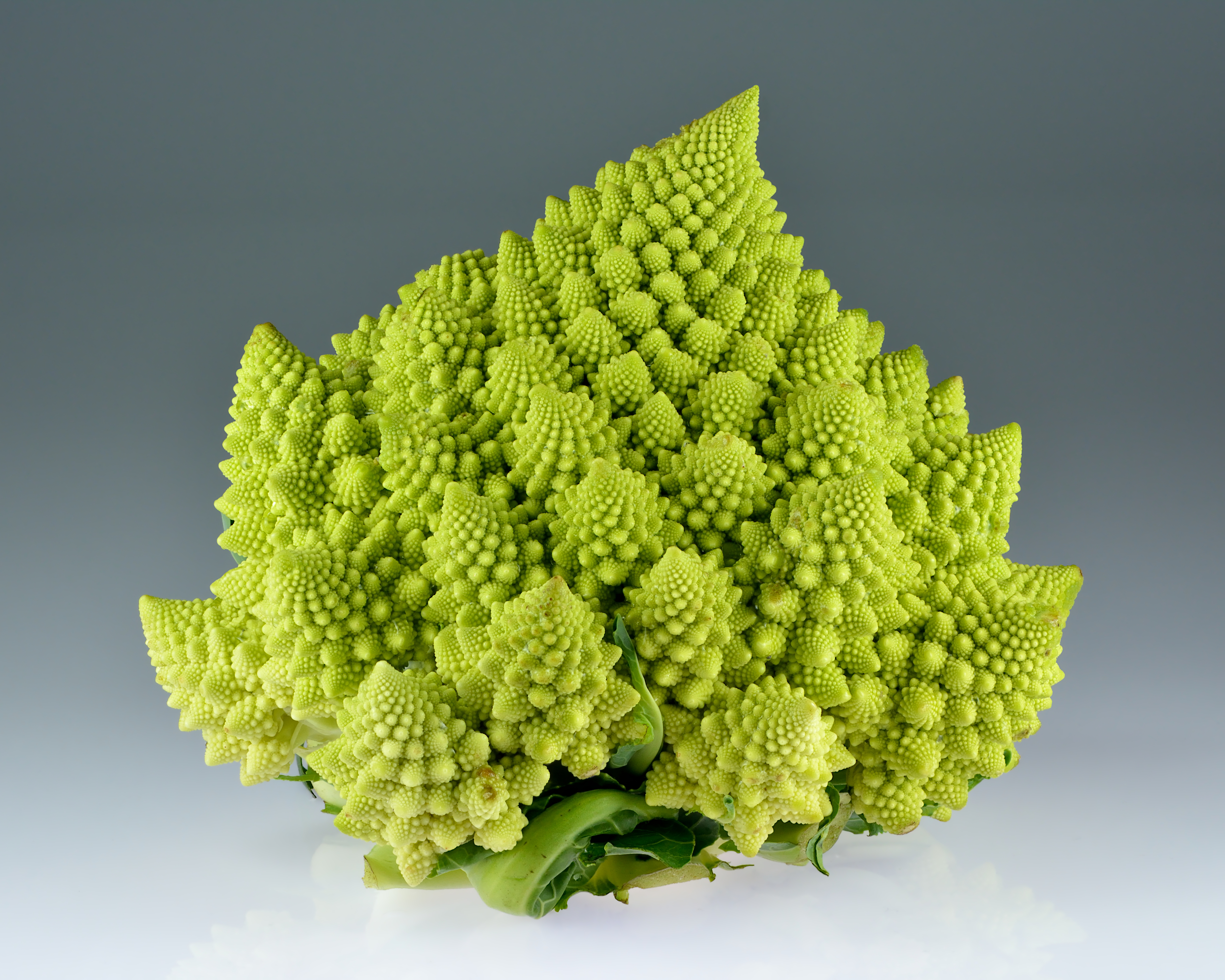 Romanesco Broccoli flower identification view