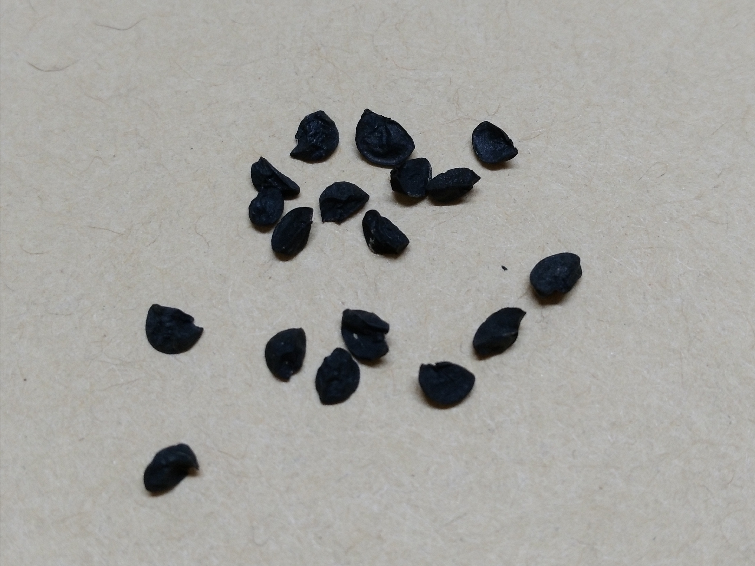 Shallot fruit identification view