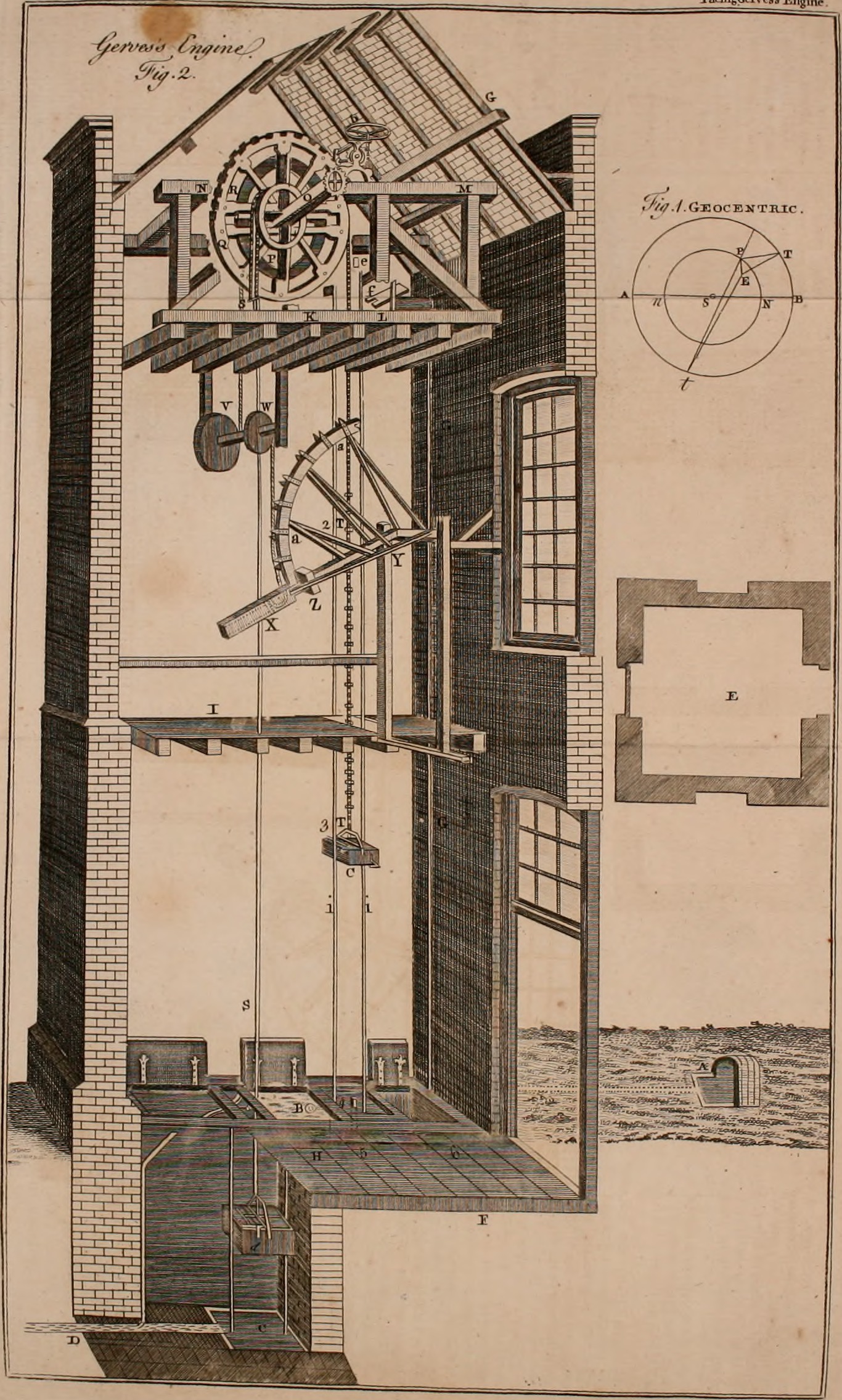 Water germander fruit identification view