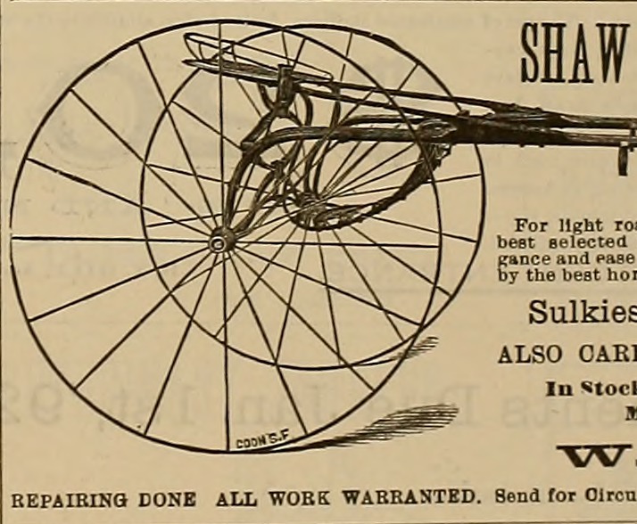 Yerba Santa fruit identification view